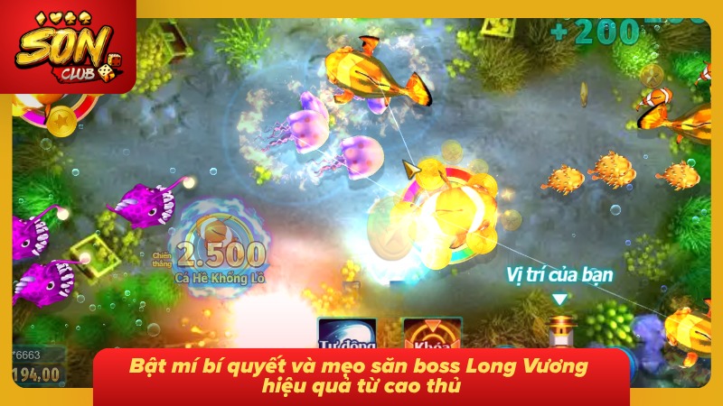 Bí quyết và mẹo săn sinh vật biển từ các tay lão làng