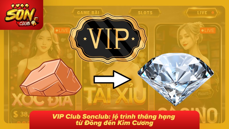 Các cấp VIP được xếp theo lộ trình từ Đồng đến Kim Cương